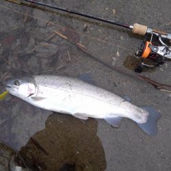 天竜川ルアーフライ専用区